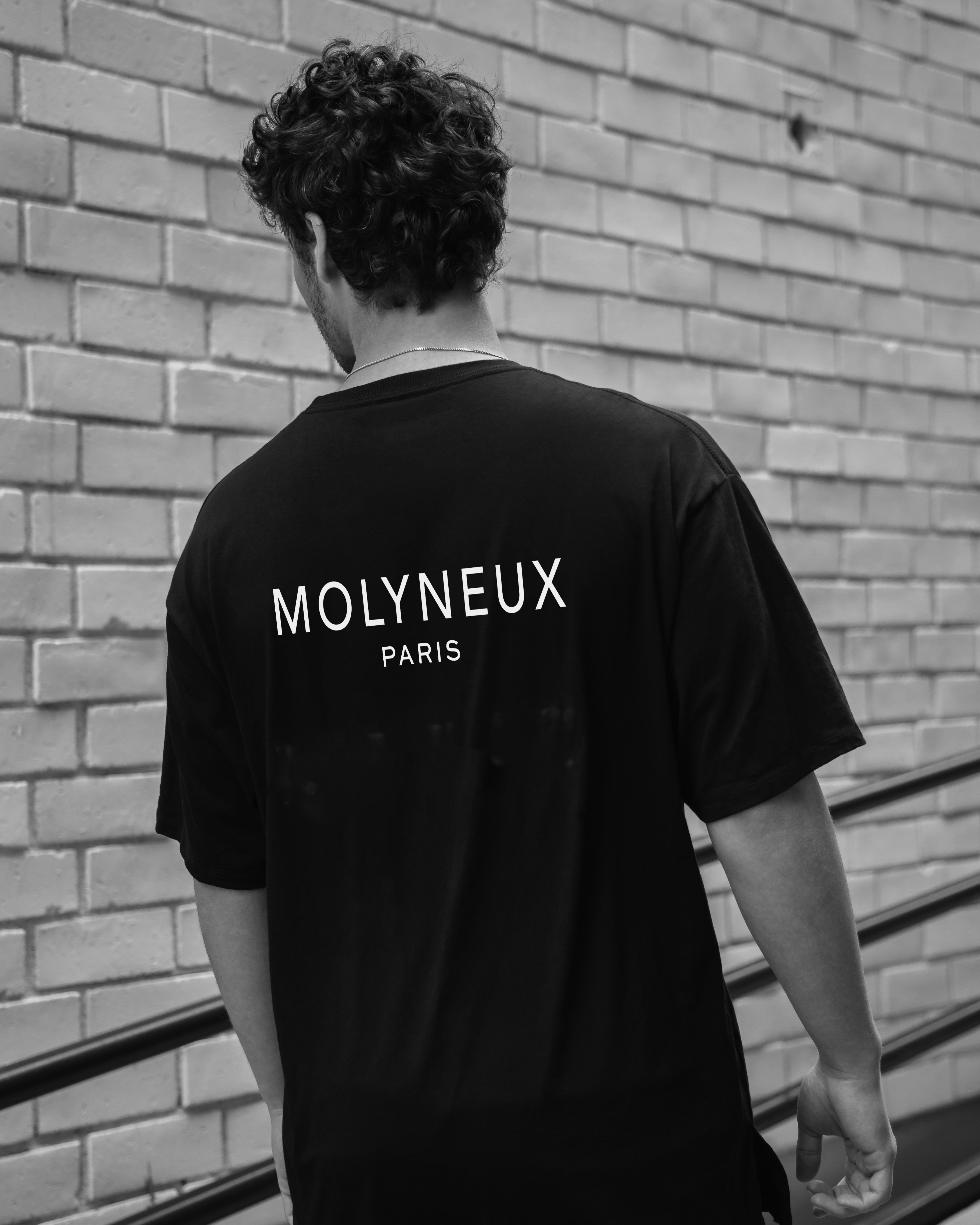 T Shirts (Mens)