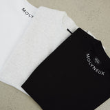 MOLYNEUX Premium Oversize T Shirt | Grey Marl | Unisex