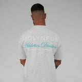 MOLYNEUX Premium Oversize T Shirt | Grey Marl | Unisex